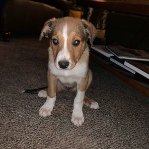 Meet your Posher, Clayton